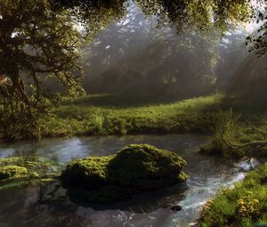 Preview wallpaper pond, forest, trees, nature