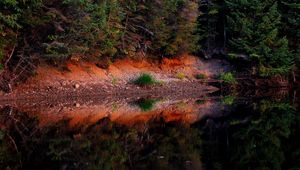 Preview wallpaper pond, forest, trees, landscape