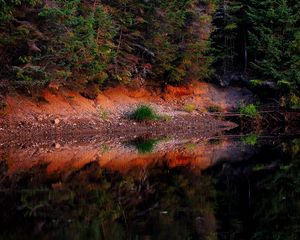 Preview wallpaper pond, forest, trees, landscape