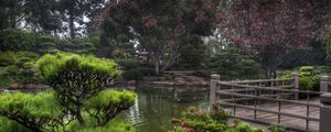 Preview wallpaper pond, garden, platform, vegetation, cloudy