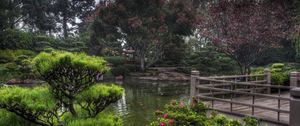 Preview wallpaper pond, garden, platform, vegetation, cloudy