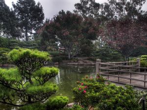 Preview wallpaper pond, garden, platform, vegetation, cloudy