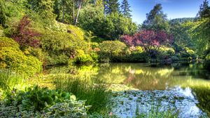 Preview wallpaper pond, garden, vegetation, green, light