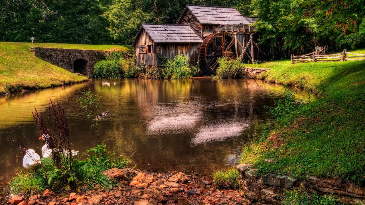 Wallpaper pond, geese, lodges, mill, wheel, summer