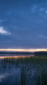 Preview wallpaper pond, grass, evening, dark, nature