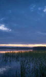 Preview wallpaper pond, grass, evening, dark, nature