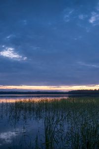 Preview wallpaper pond, grass, evening, dark, nature