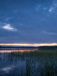 Preview wallpaper pond, grass, evening, dark, nature