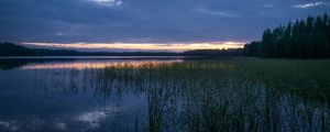 Preview wallpaper pond, grass, evening, dark, nature