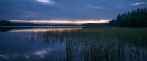 Preview wallpaper pond, grass, evening, dark, nature