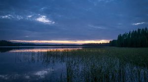 Preview wallpaper pond, grass, evening, dark, nature