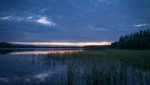 Preview wallpaper pond, grass, evening, dark, nature