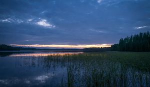 Preview wallpaper pond, grass, evening, dark, nature