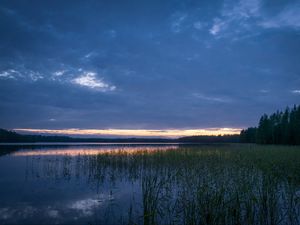 Preview wallpaper pond, grass, evening, dark, nature