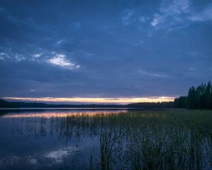 Preview wallpaper pond, grass, evening, dark, nature