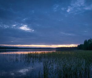 Preview wallpaper pond, grass, evening, dark, nature