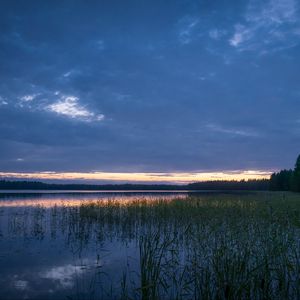 Preview wallpaper pond, grass, evening, dark, nature