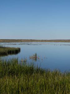 Preview wallpaper pond, grass, horizon, sky, nature