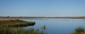 Preview wallpaper pond, grass, horizon, sky, nature