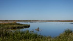 Preview wallpaper pond, grass, horizon, sky, nature