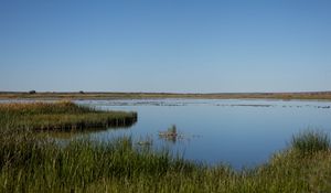 Preview wallpaper pond, grass, horizon, sky, nature