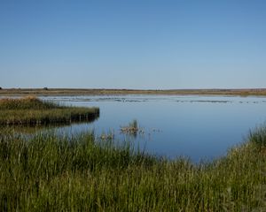 Preview wallpaper pond, grass, horizon, sky, nature