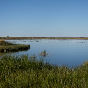 Preview wallpaper pond, grass, horizon, sky, nature