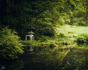 Preview wallpaper pond, grass, trees, stone, reflection