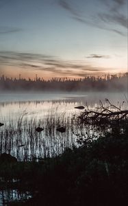 Preview wallpaper pond, grass, trees, fog, sunrise