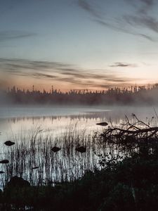 Preview wallpaper pond, grass, trees, fog, sunrise