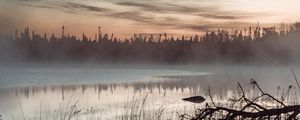 Preview wallpaper pond, grass, trees, fog, sunrise