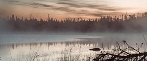 Preview wallpaper pond, grass, trees, fog, sunrise