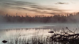 Preview wallpaper pond, grass, trees, fog, sunrise