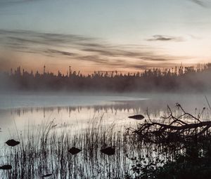 Preview wallpaper pond, grass, trees, fog, sunrise