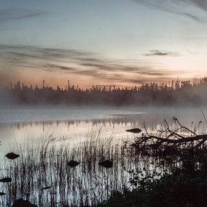 Preview wallpaper pond, grass, trees, fog, sunrise