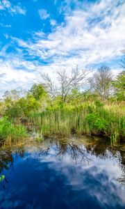 Preview wallpaper pond, grass, trees, clouds, nature