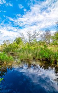 Preview wallpaper pond, grass, trees, clouds, nature