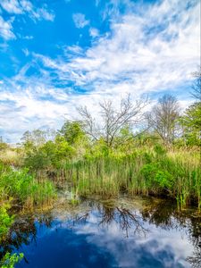 Preview wallpaper pond, grass, trees, clouds, nature