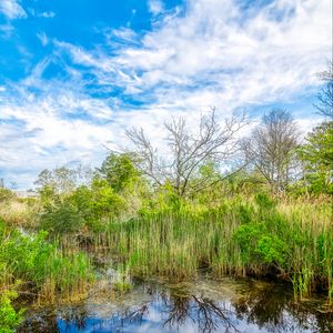 Preview wallpaper pond, grass, trees, clouds, nature