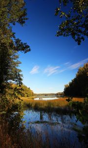 Preview wallpaper pond, grass, trees, landscape