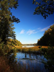 Preview wallpaper pond, grass, trees, landscape