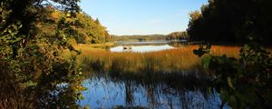 Preview wallpaper pond, grass, trees, landscape