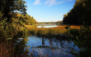 Preview wallpaper pond, grass, trees, landscape