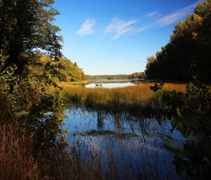 Preview wallpaper pond, grass, trees, landscape