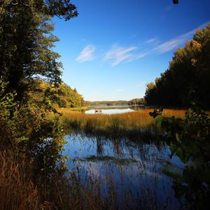 Preview wallpaper pond, grass, trees, landscape