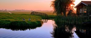 Preview wallpaper pond, house, sunset, ducks, village