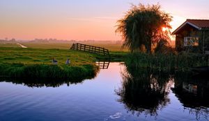 Preview wallpaper pond, house, sunset, ducks, village