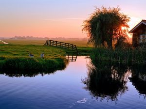 Preview wallpaper pond, house, sunset, ducks, village