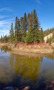 Preview wallpaper pond, island, trees, landscape