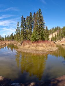 Preview wallpaper pond, island, trees, landscape